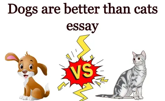 Dogs are better than cats essay