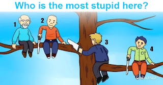 Who Is The Most Stupid Here? Each Of Your Choices Can Reveal A Part Of Your Personality Who Is The Most Stupid Here? Each Of Your Choices Can Reveal A Part Of Your Personality