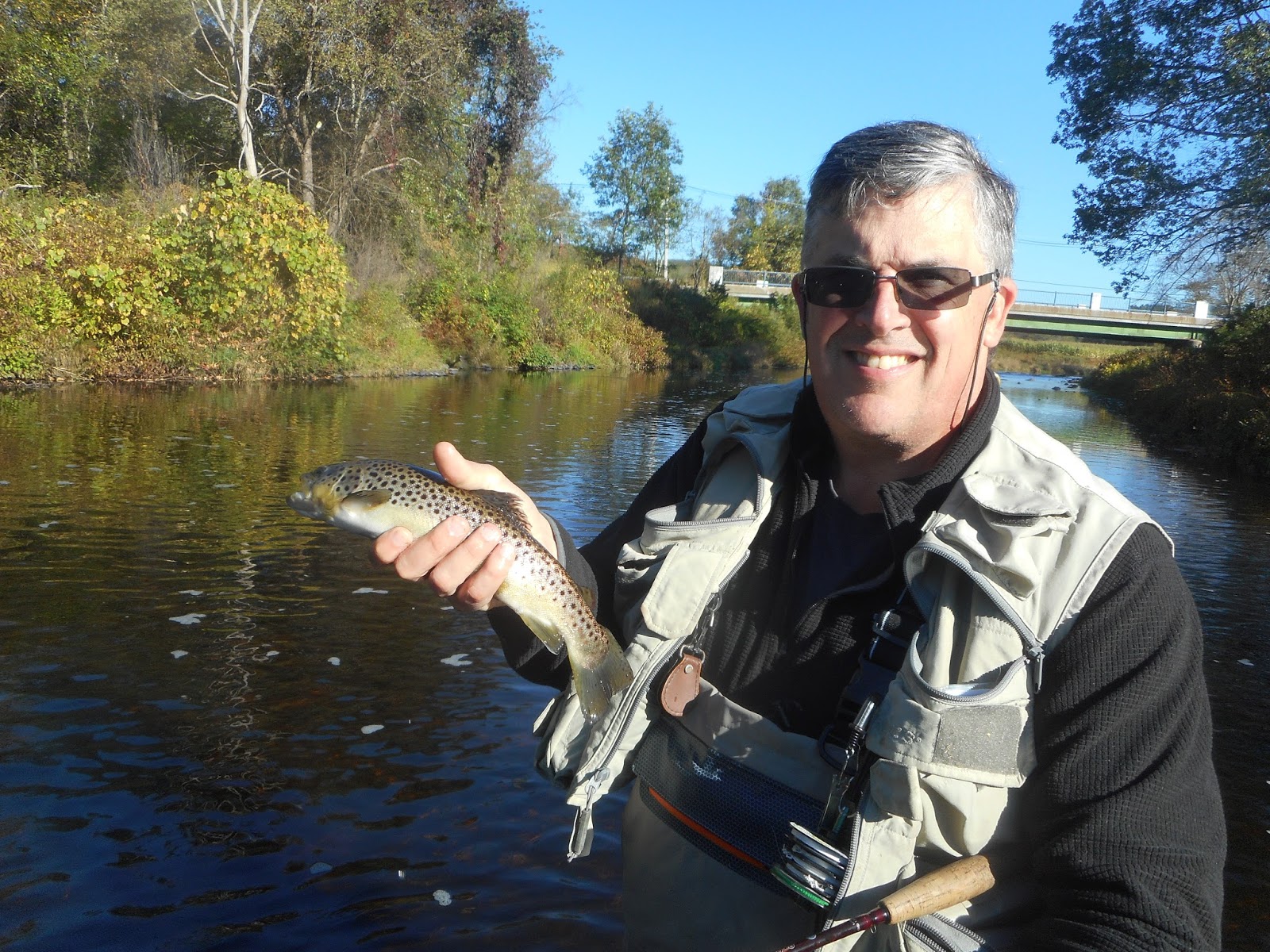 Millers, Swift, Ware And EB Fly Fishing Forum! To Trout Land