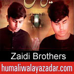 https://humaliwalaazadar.blogspot.com/2019/08/zaidi-brothers-nohay-2020.html