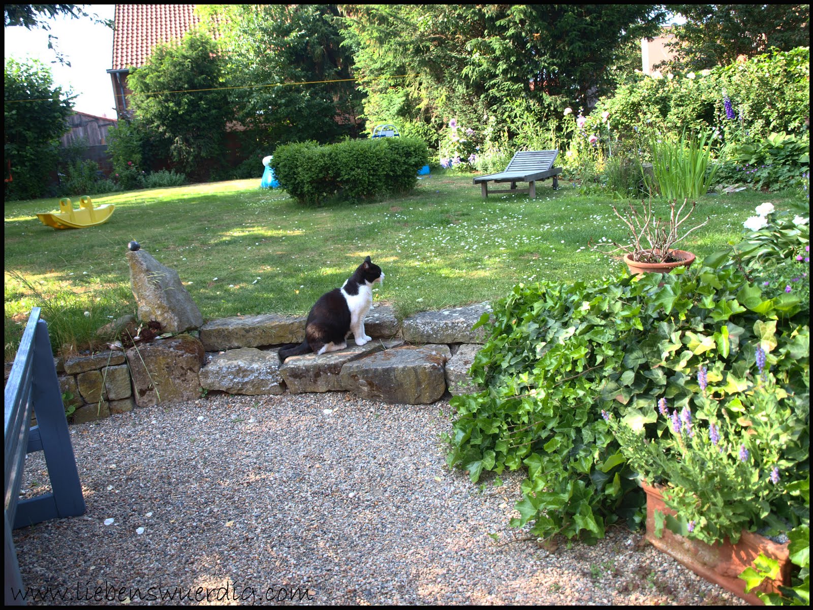www.liebenswuerdig.com: STW: Ein Blick in den Garten meiner Eltern