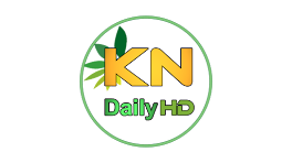 KN Daily HD