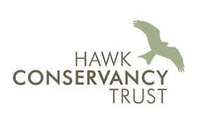Hawk Conservancy (Andover, England)