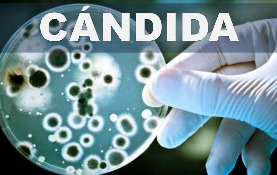 Virus Candida