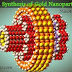 Nanotechnology: Green Synthesis of Gold Nanoparticles (#nanotechnology)(#biochemistry)(#ipumusings)