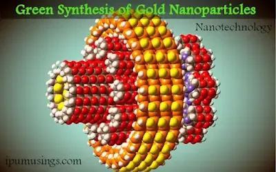 Nanotechnology: Green Synthesis of Gold Nanoparticles (#nanotechnology)(#biochemistry)(#ipumusings)