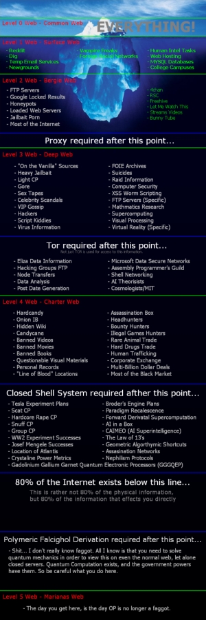 the-hidden-web-the-wiki-of-deep-web-infography.jpg