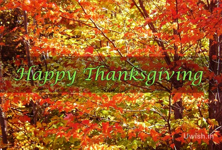 Happy Thanksgiving e greeting cards and wishes with nature.