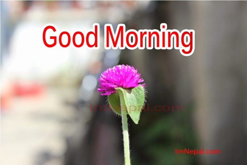 Good Morning Wishes, Messages & SMS in Nepali With Image & Quotes Cards Collection 4 good%2Bmorning%2Bquotes