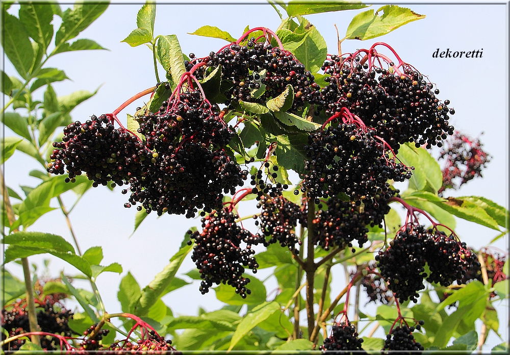 dekoretti´s Welt: 2019 dekoretti´s Welt: 2019