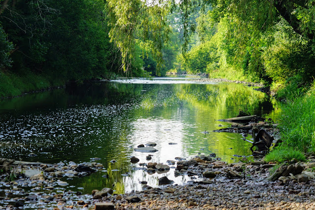 Highland Creek River