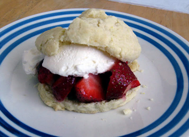 Strawberry Shortcakes by freshfromthe.com