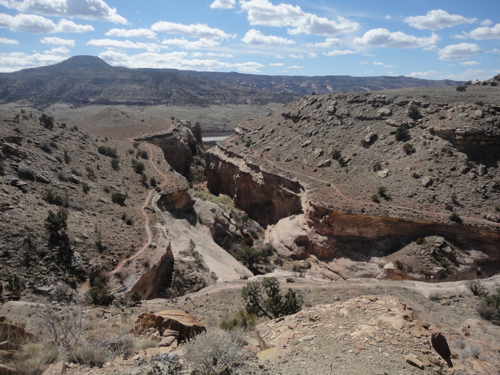 Front Range Rambler Fruita Desert Run Kokopelli TH Trails