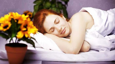 Tanaman Yang Bisa Membantu Anda Tidur Dengan Nyaman Di Malam Hari