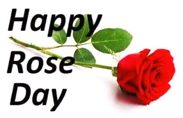 Rose Day Shayari for boyfriend Rose Day Shayari