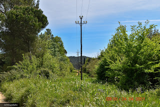Ruta Pi d'en Xandri a El pantano de Can Borrell (San Cugat del Vallés)