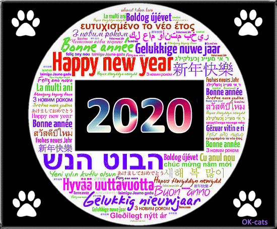 Cat GIF • Happy New Year 💋 2020 to all Cat 💖 lovers and their Cats 🐈 and Kitties 😺 all over the World (9 of 10) Cat GIF • Happy New Year 💋 2020 to all Cat 💖 lovers and their Cats 🐈 and Kitties 😺 all over the World (9 of 10)