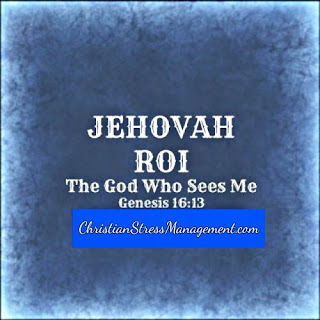 Jehovah Roi The God Who Sees Me Genesis 16:13