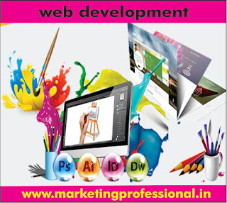 web development marketing professional