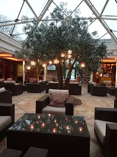 seating area in spa with inside large tree