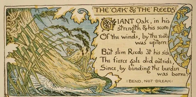 Die Eiche und das Schilfrohr – Fabel Aesop – Anpassung Die Eiche und das Schilfrohr – Fabel Aesop – Anpassung