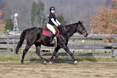 Leilani, happily owned by Carol Biang