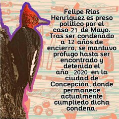 Libertad para Felipe Rios