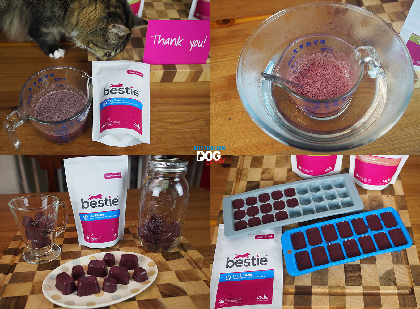 Bestie Kitchen Health Jellies for Dogs Review Australian Dog Lover