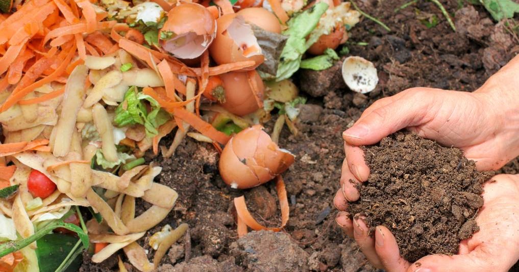 Waste management How To Start A Composting Program At The Workplace?