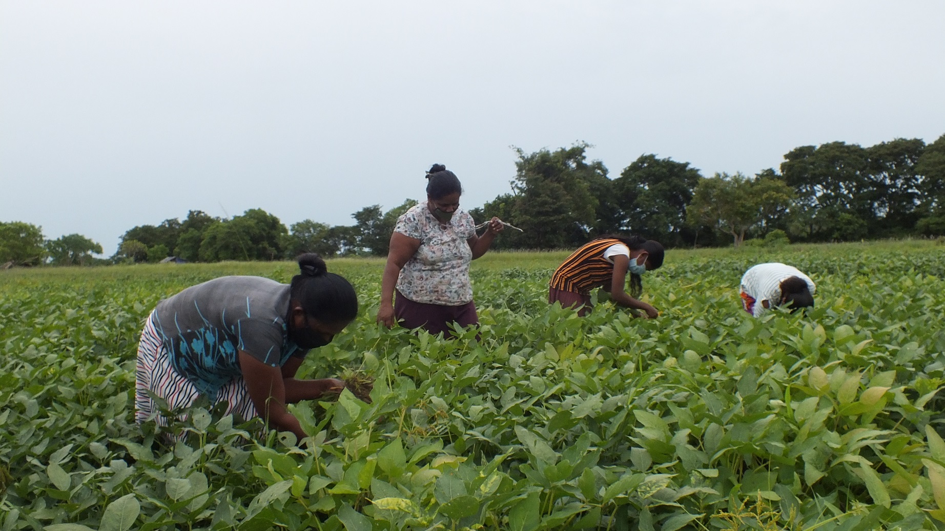 CSIAP Sri Lanka The International Rural Women’s Day