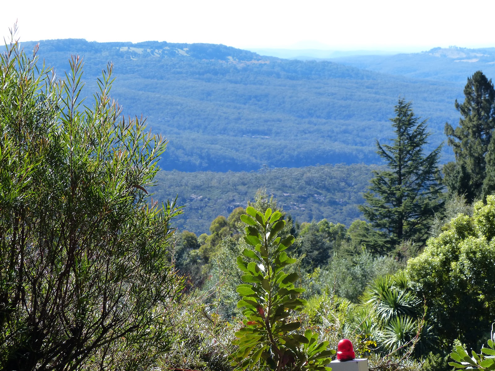 Made with love Mount Tomah Botanic Garden