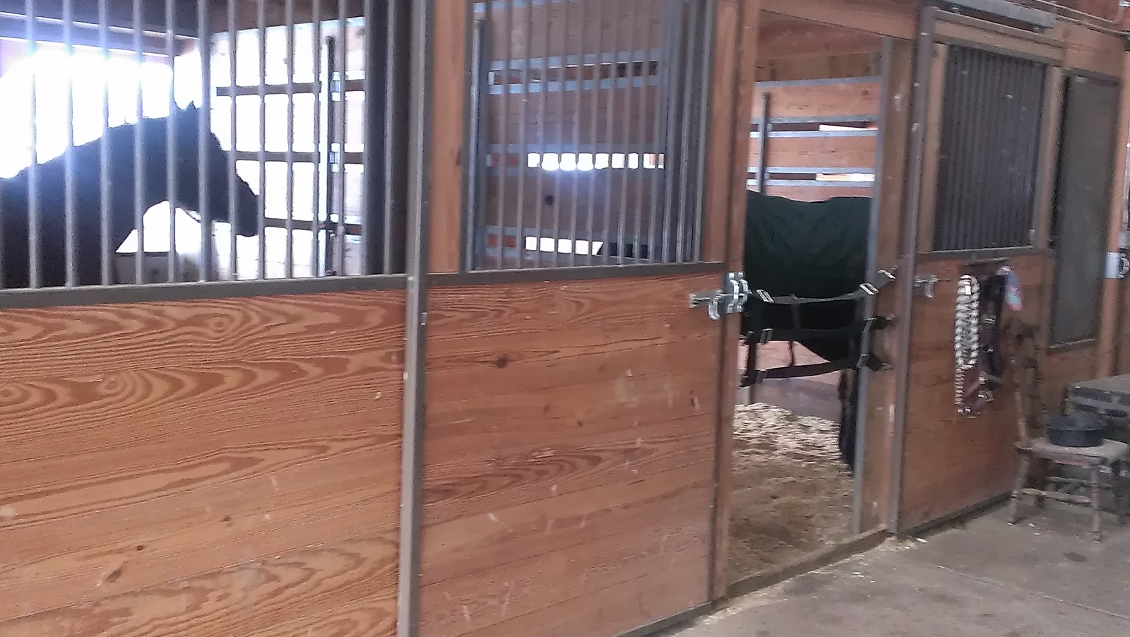 Mystic Valley Farm Steamboat Horse Boarding Horse Riding Lessons