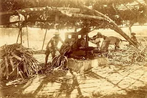 Bauan5