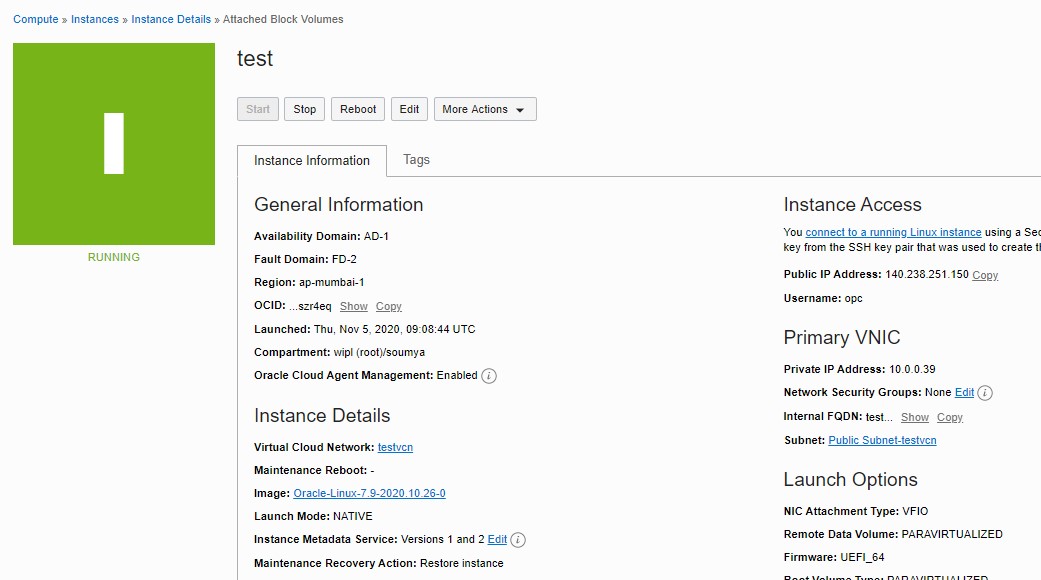 Soumya's Database Blog How to attach block volume in OCI instance