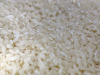 arroz sushi arroz sushi