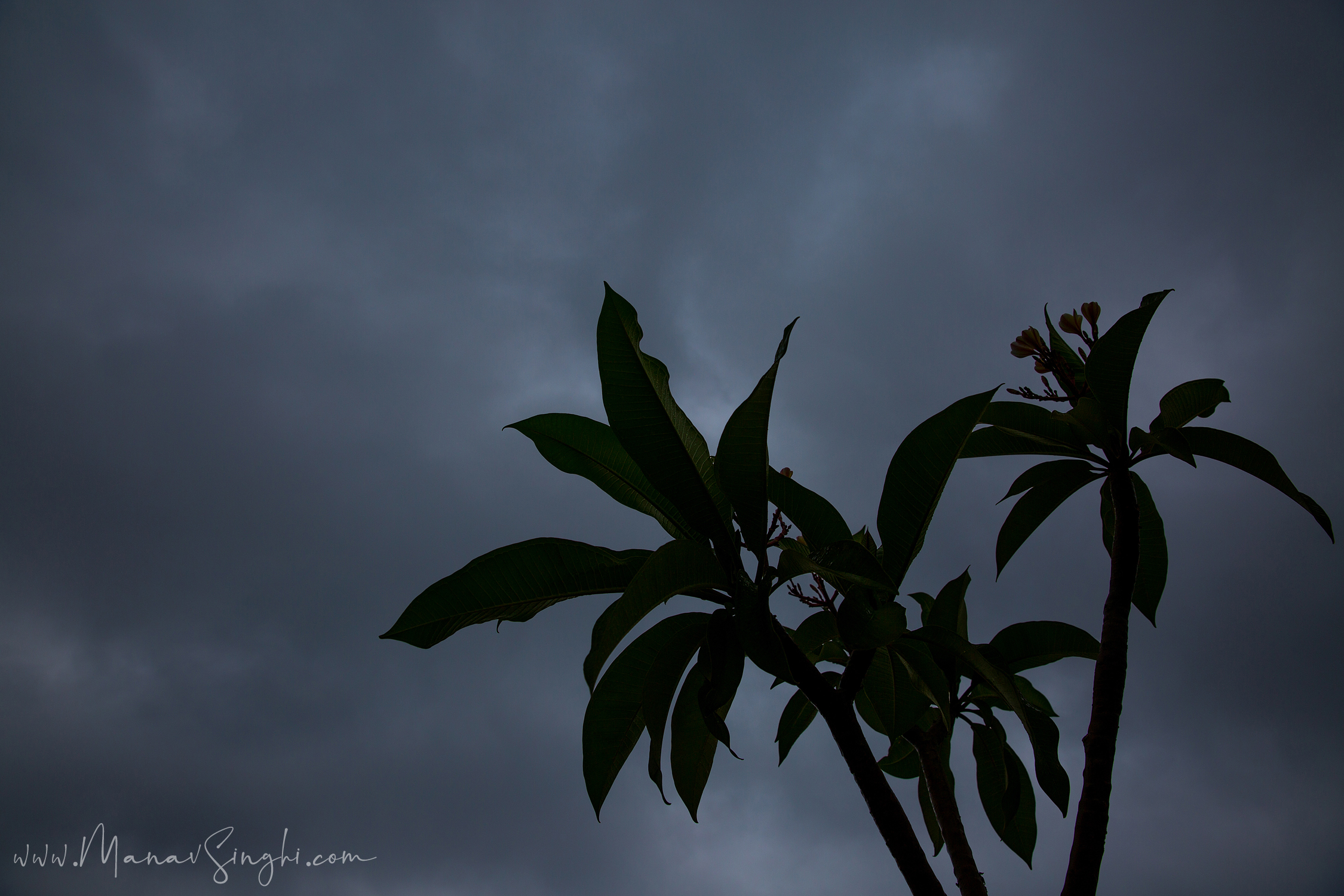 Awesome Weather in Jaipur due to Weather Disturbance created by Tauktae Cyclonic Storm