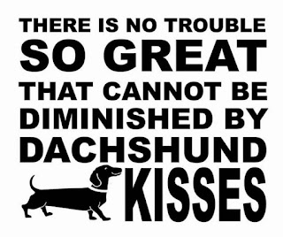 funny dachshund quotes