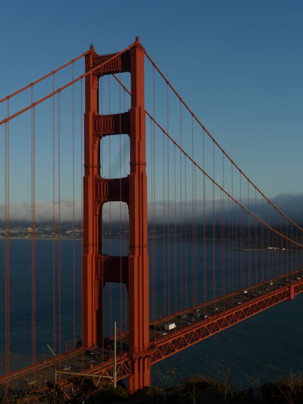 11: Muir Woods - Golden Gate - Driving me ... USA (22)