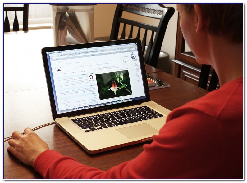  medical coding courses online certification best education online