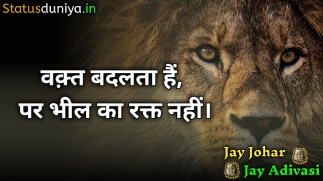 जय आदिवासी भील शायरी स्टेटस फोटो डाउनलोड
Bhil Shayari
Jay Johar Adivasi Bhil Shayari Status Photos Download
Bhil Adivasi Attitude Shayari
जय आदिवासी स्टेटस
आदिवासी शायरी डायलॉग
आदिवासी समुदाय का स्टेटस
भील की शायरी फोटो
भील शायरी फोटो डाउनलोड
भील राजा फोटो शायरी स्टेटस
आदिवासी फोटो शायरी
आदिवासी शेर शायरी भील फोटो
आदिवासी गुजराती भील शायरी
आदिवासी भील स्टेटस इन हिंदी
Jay Adivasi Bhil Shayari Status Photo Download
आदिवासी ऐटिटूड शायरी
भील शायरी फोटो डाउनलोड