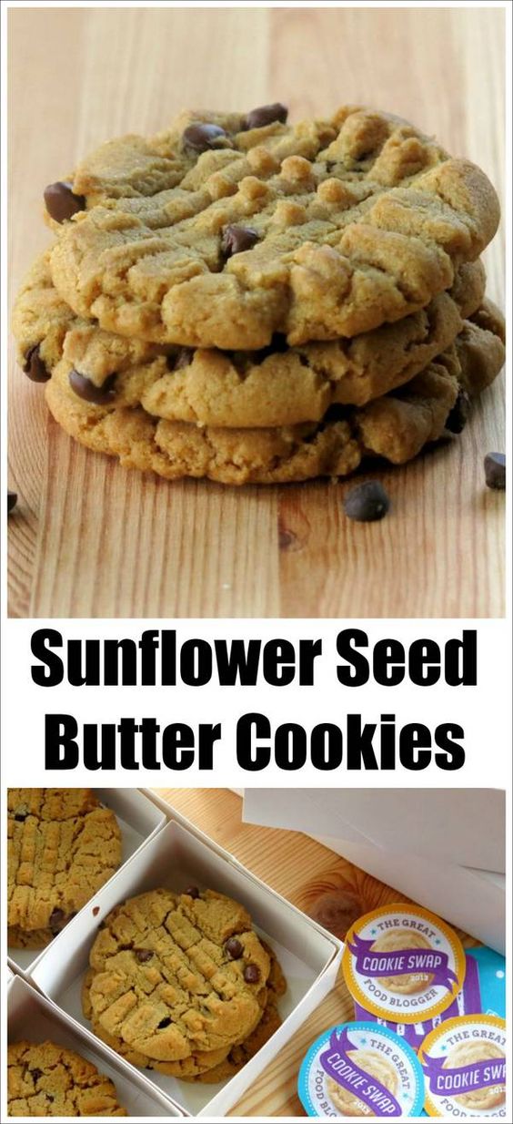 Sunflower Seed Butter Cookies with Chocolate Chips Best Healthy Recipe