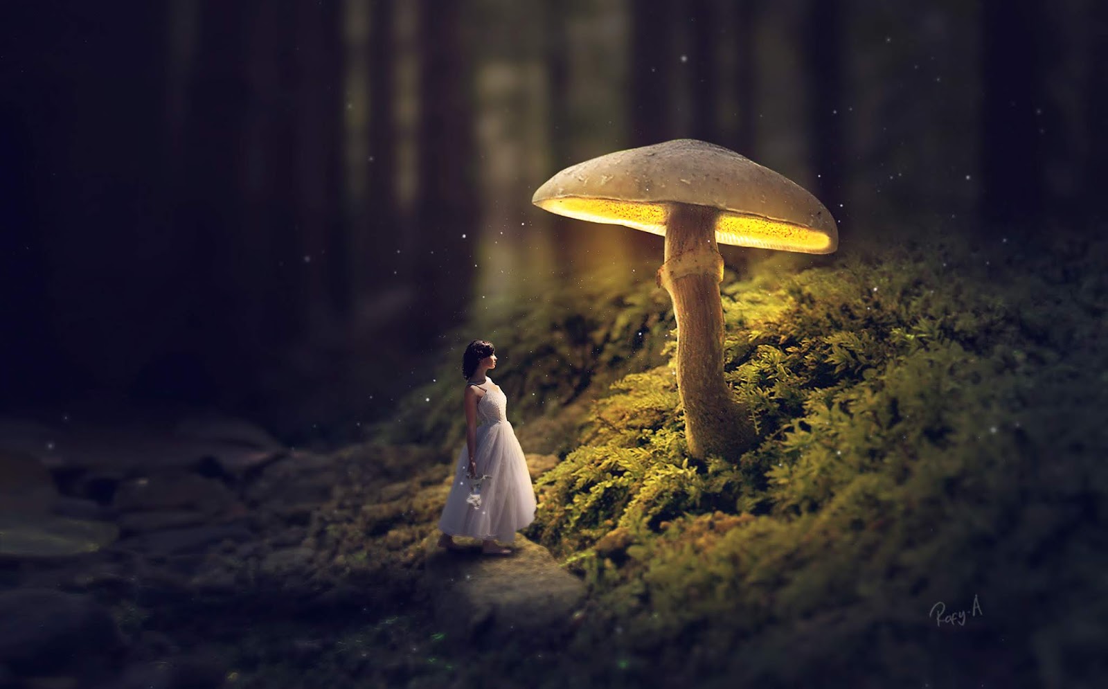 Glowing Mushroom Photoshop Fantasy Manipulation Tutorial Rafy A