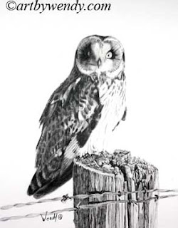 Wendy Mould: SHORT EARED OWL ON THE PROWL - $650 - Graphite, Framed 20 x 16