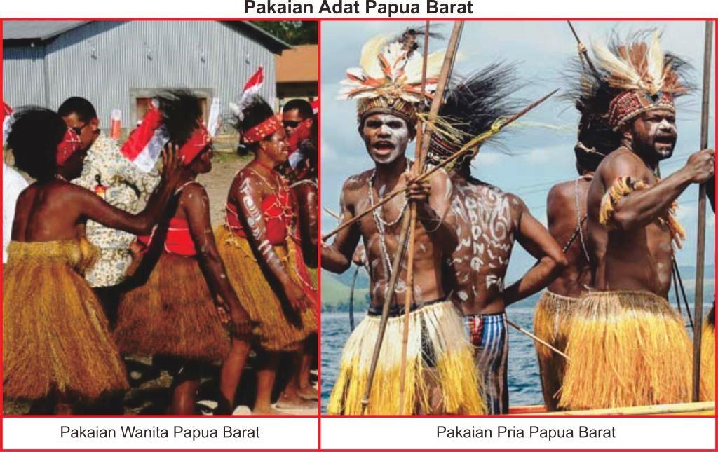 Pakaian Adat Yang  Ada  Di Papua Baju  Adat Tradisional