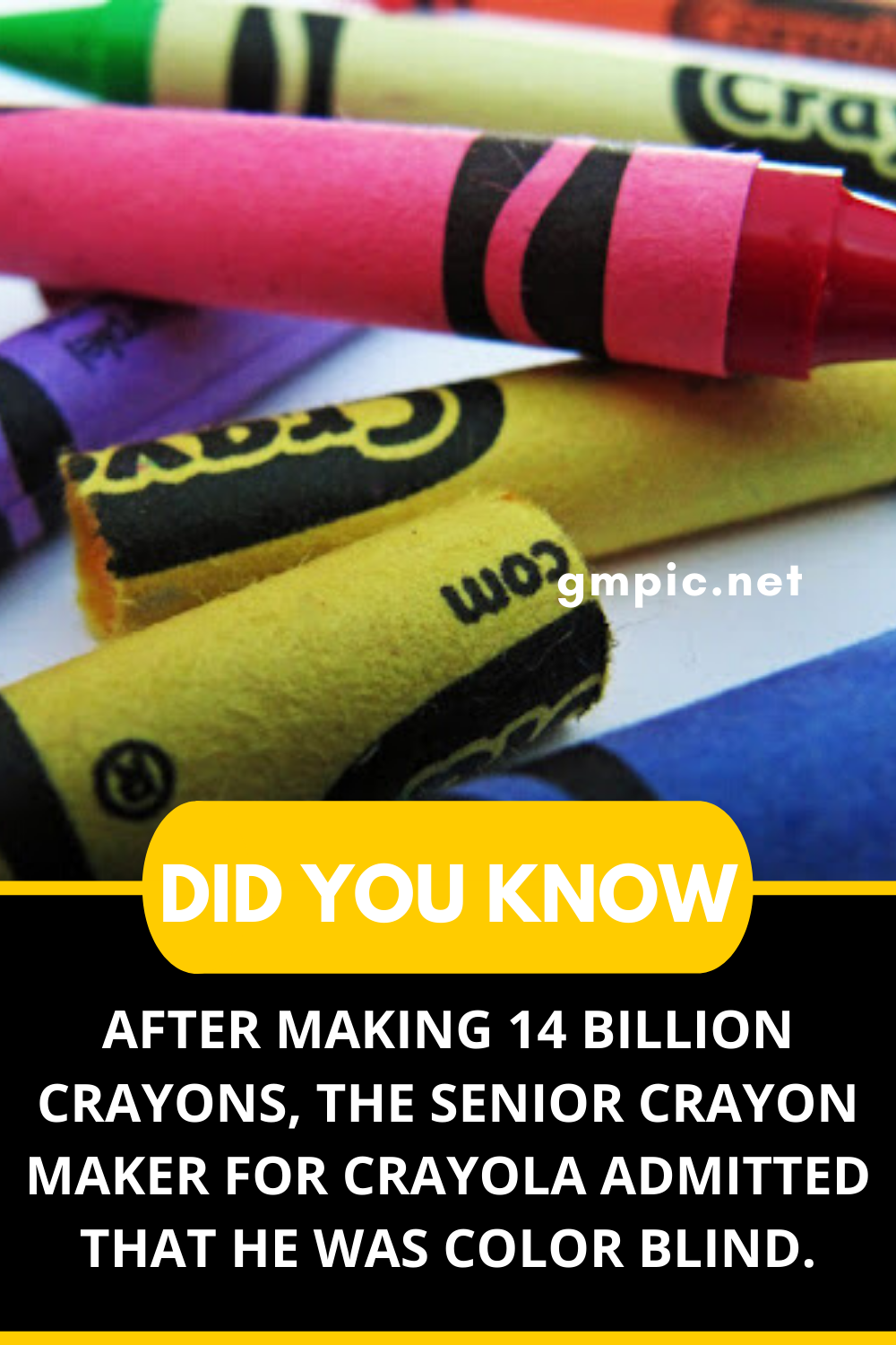 Random Fact 4 Amazing Facts