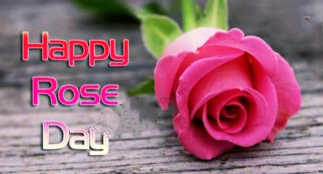 Happy Rose day SMS Happy Rose day quotes