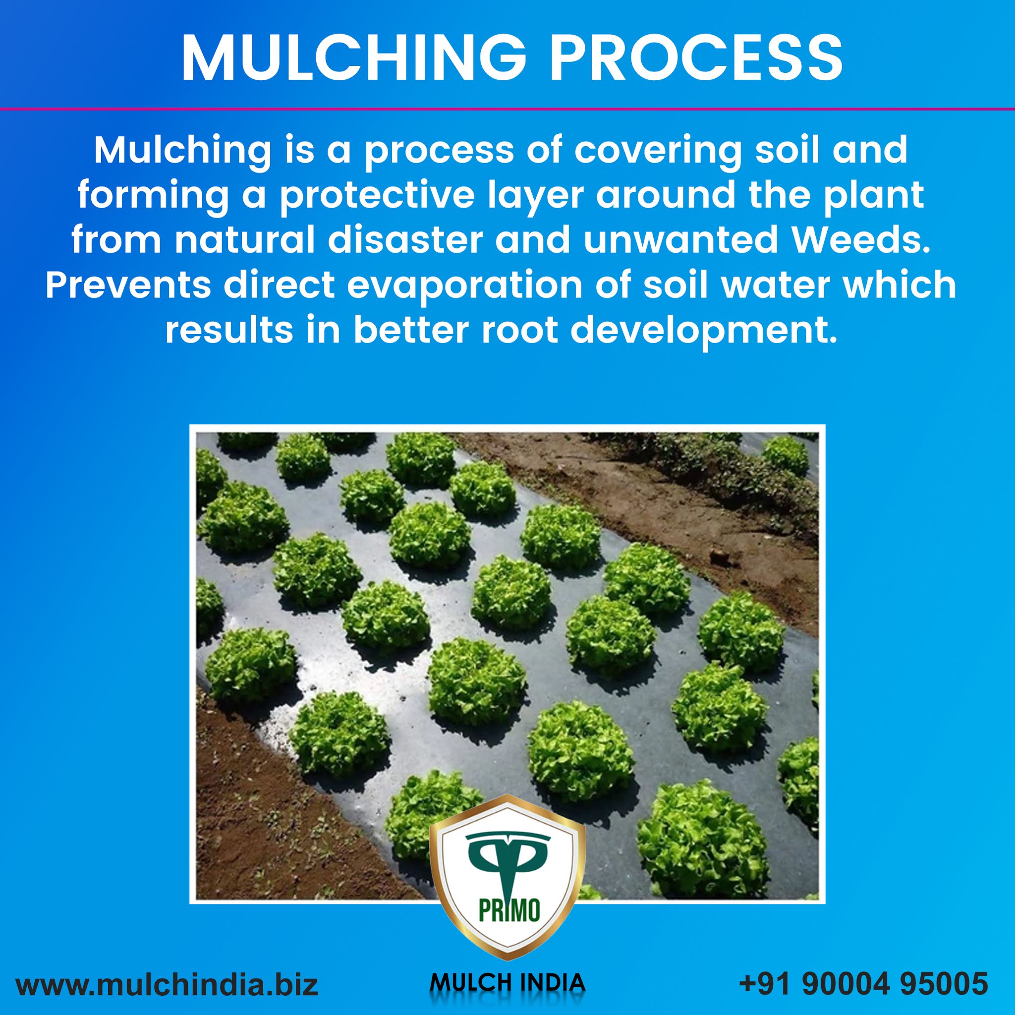 MulchIndia Mulching Process Mulch India Call+𝟵𝟭 𝟵𝟬𝟬𝟬𝟰𝟵𝟱𝟬𝟬𝟱 www