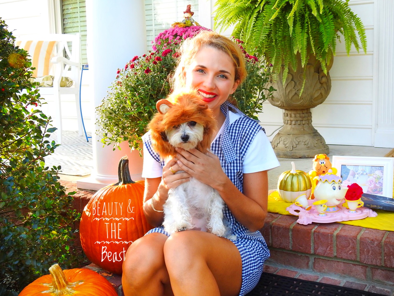 beauty and the beast costume for dogs