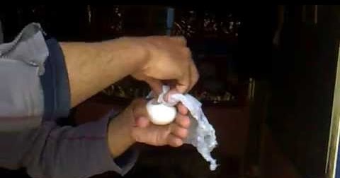 على ماذا يدل وجود البيض الفقس أمام المنزل؟