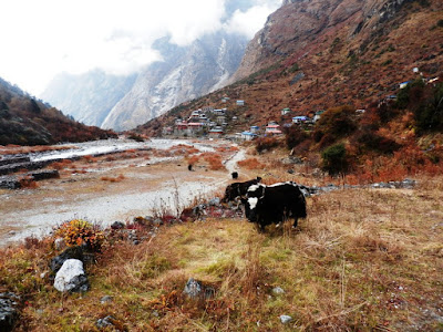 Enlacima-Aldea-Beding-valle-de-Rolwaling-Nepal-Himalaya